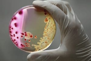 Research Shows Drug-Resistant Bacteria May Spread Easily in Hospitals